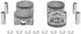 DNJ Engine Components Piston Set