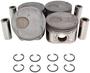 DNJ Engine Components Piston Set