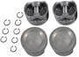DNJ Engine Components Piston Set