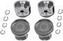 DNJ Engine Components Piston Set