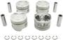 DNJ Engine Components Piston Set