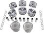 DNJ Engine Components Piston Set