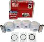 DNJ Engine Components Piston Set