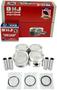 DNJ Engine Components Piston Set