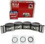 DNJ Engine Components Piston Set
