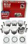 DNJ Engine Components Piston Set