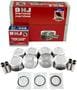 DNJ Engine Components Piston Set