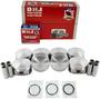 DNJ Engine Components Piston Set