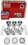 DNJ Engine Components Piston Set