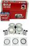 DNJ Engine Components Piston Set