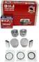 DNJ Engine Components Piston Set