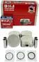 DNJ Engine Components Piston Set