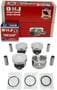 DNJ Engine Components Piston Set