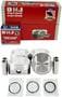 DNJ Engine Components Piston Set