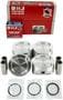 DNJ Engine Components Piston Set