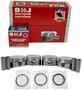DNJ Engine Components Piston Set