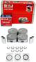 DNJ Engine Components Piston Set