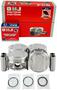 DNJ Engine Components Piston Set