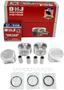 DNJ Engine Components Piston Set