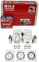 DNJ Engine Components Piston Set