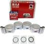 DNJ Engine Components Piston Set