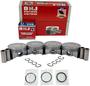 DNJ Engine Components Piston Set