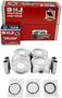 DNJ Engine Components Piston Set