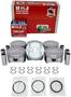 DNJ Engine Components Piston Set