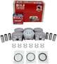 DNJ Engine Components Piston Set