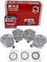 DNJ Engine Components Piston Set
