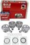 DNJ Engine Components Piston Set