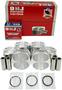 DNJ Engine Components Piston Set