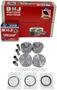 DNJ Engine Components Piston Set