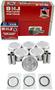 DNJ Engine Components Piston Set