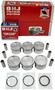 DNJ Engine Components Piston Set