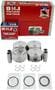 DNJ Engine Components Piston Set