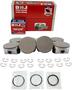 DNJ Engine Components Piston Set