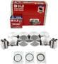 DNJ Engine Components Piston Set