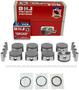 DNJ Engine Components Piston Set
