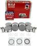 DNJ Engine Components Piston Set