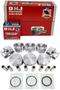 DNJ Engine Components Piston Set