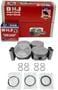 DNJ Engine Components Piston Set