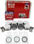 DNJ Engine Components Piston Set