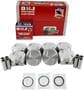 DNJ Engine Components Piston Set