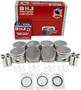 DNJ Engine Components Piston Set