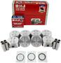 DNJ Engine Components Piston Set