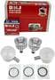 DNJ Engine Components Piston Set