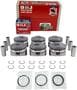 DNJ Engine Components Piston Set