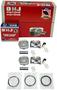 DNJ Engine Components Piston Set