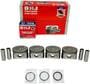 DNJ Engine Components Piston Set